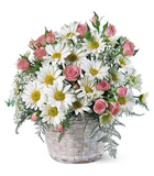 sepet i�erisinde papatya ve g�llerden olu�an aranjman<br>Sepet i�erisinde beyaz papatyalar ve pembe renkli �i�eklerden olu�an aranjman . Ortalam a�r�n boyutlar� 45x50 cm 